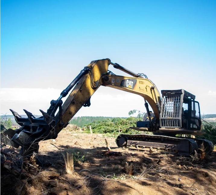 Excavadora operando en faena forestal